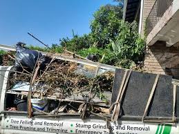 Best Commercial Junk Removal in Benson, NC